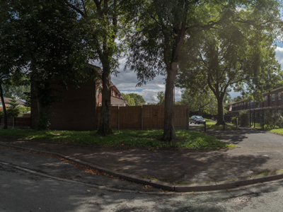 Example Placeholder Image