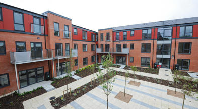 Daisy Haye external