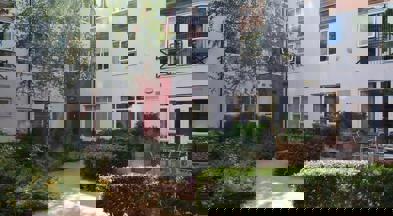 DSC 0351