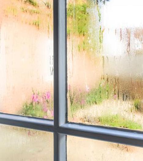 Condensation On Window