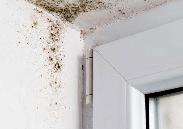 Health And Safety damp mould condensation Landing Page