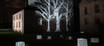 TREES On Building