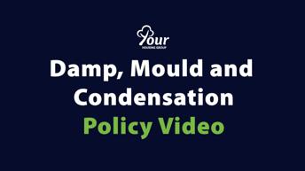 Damp, Mould And Condensation Video Cover